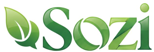 Sozi